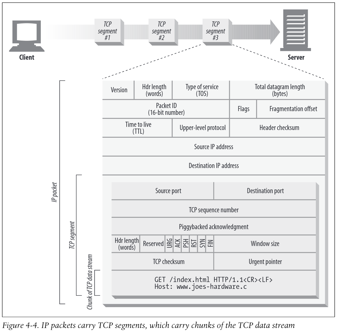 IP packets carry TCP segments, which carry chunks of the TCP data stream