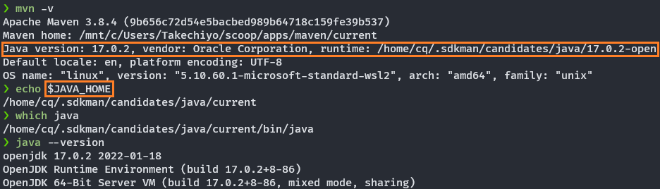 JRE used to run Maven