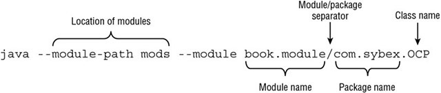 Running a module using java